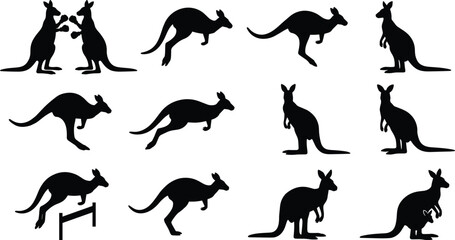 Fototapeta premium Set of Kangaroo Silhouettes in Various Poses Vector Illustration