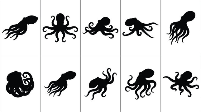 Set of black octopus silhouettes on white background