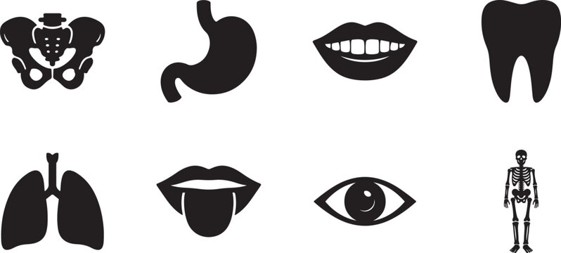 Medical organs line icon set with anatomy body parts, vector EPS pictograms for healthcare and education.