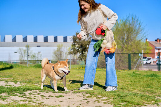 Mature woman walking shiba inu dog carrying net bag