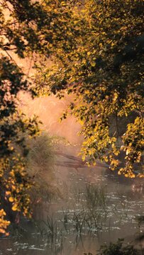 Hot summer morning