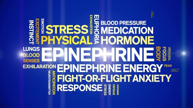 Epinephrine animated word cloud-text design animation tag kinetic typography seamless loop.