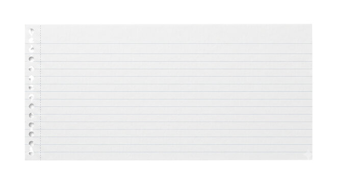 Blank lined notebook paper with torn binder edges
