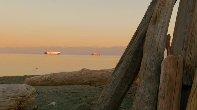 Cargo ship on ocean horizon framed by beach driftwood