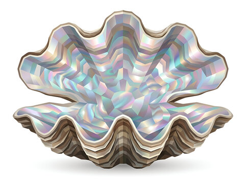 Pearly iridescent giant clam seashell vector illustration