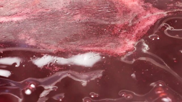 Boiling red currant jam bubbles in a saucepan during the home preparation process. Fresh berry confit cooks on the stove following a traditional recipe. Thick red jelly with small bubbles simmer.