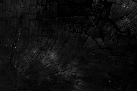  Textura de madera de secci&oacute;n transversal de tronco de &aacute;rbol negro oscuro, fondo natural. Textura de secci&oacute;n transversal de tronco de &aacute;rbol envejecido oscuro; fondo de madera natural para activos