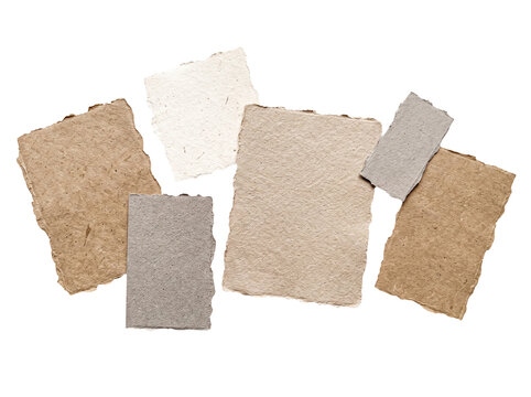 Collection of torn, textured handmade paper pieces in earthy tones.