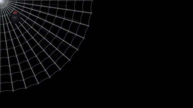 Halloween corner spiderweb large spider dew animation with transparent background
