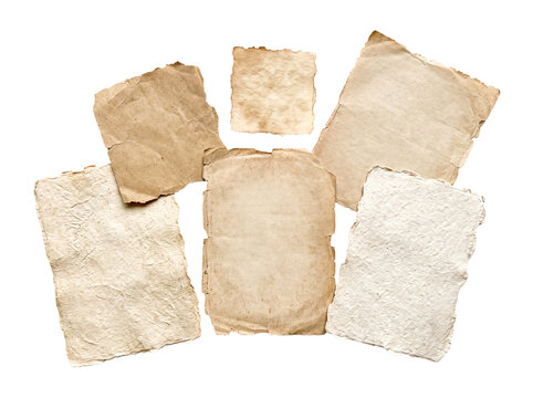 Collection of various aged and textured paper fragments with rough, torn edges, in shades of brown and beige.