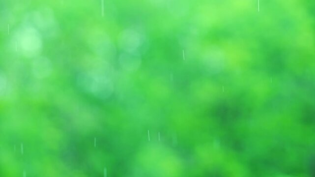 Raing on soft green bokeh background creating a calming atmosphere, perfect for nature-themed projects or designs that need a touch of serenity and freshness in their visual appeal