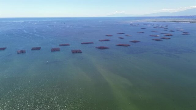 Cinematic drone view from high altitude revealing a vast offshore mussel farm with geometric aquaculture beds creating a unique pattern on the blue sea.