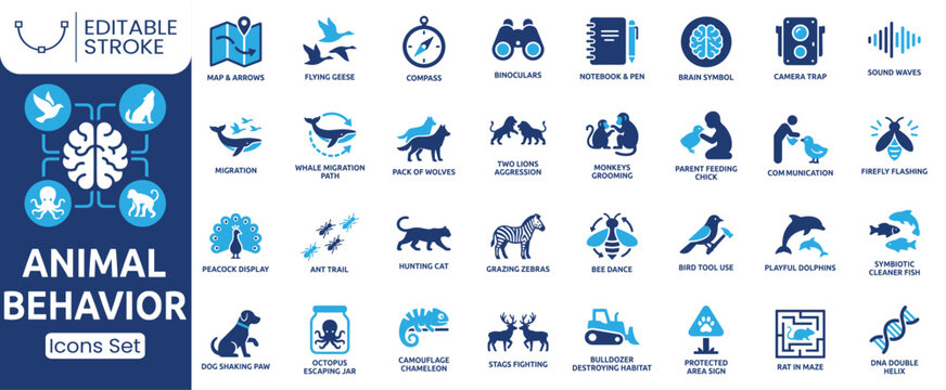 Animal behavior icon set. Containing migration, animal communication, camouflage, hunting, bee dance and more. Solid vector icons collection.
