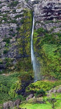Wide drone shot capturing Poco do Bacalhau waterfall plunging down a towering volcanic cliff surrounded by lush green vegetation on Flores Island Azores Portugal