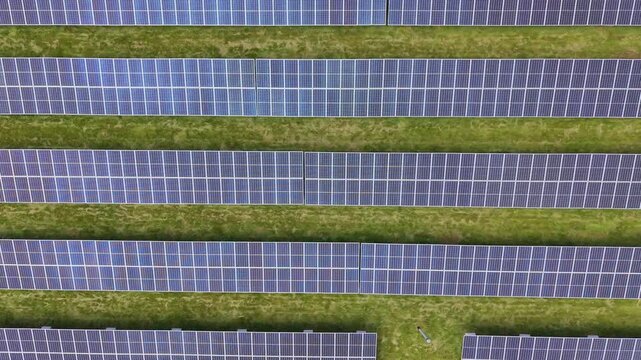Top-down panning drone fly over long rows of solar panels stretch across a grassy field over large-scale renewable energy infrastructure.