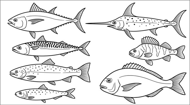 Black and white line art vector collection of various saltwater and freshwater fish species
