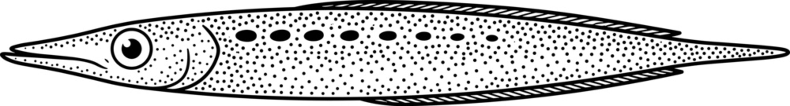 Black and white line art illustration of a spotted needlefish with stippled texture isolated