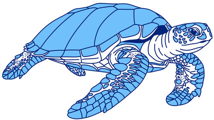 A sea turtle swimming freely, a blue hand-drawn vector illustration © SasubuArt