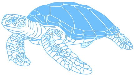 Blue-line illustration of a sea turtle swimming freely with its flippers © SasubuArt