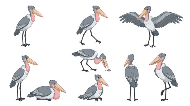 A series of pelican illustrations showcasing various poses and movements in a neutral environment.