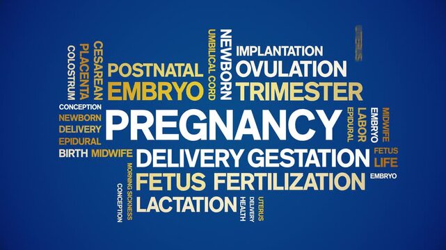 Pregnancy animated word cloud-animation tag kinetic typography seamless loop.