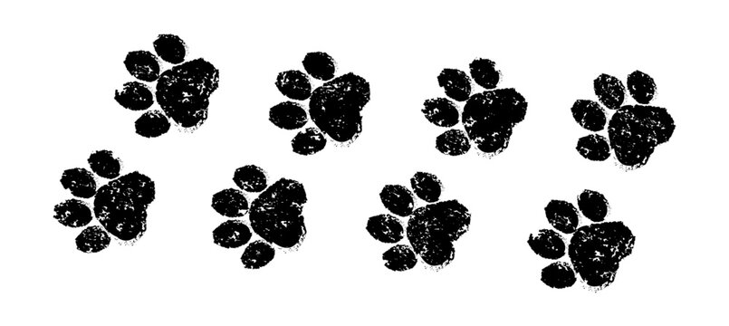 Paw print dog or cat, pet footprint sketch pattern. Animal grunge paw silhouette background. Black cat dog feet stamp isolated on white bg. Charcoal texture doodle, paint pet step. Vector illustration