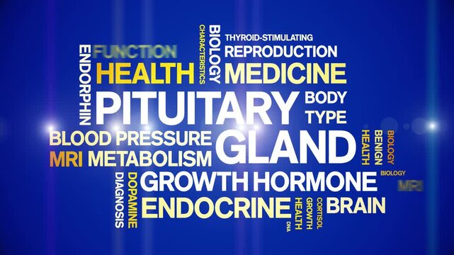 Pituitary Gland animated word cloud-animation tag kinetic typography seamless loop.