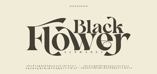 Black Hower luxury elegant alphabet letters and numbers. Vintage wedding typography classic serif font decorative vintage retro. creative vector illustration © Studio_type