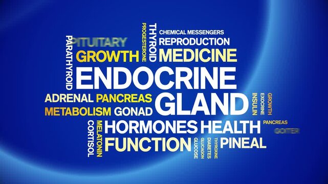 Endocrine Gland animated word cloud-animation tag kinetic typography seamless loop.