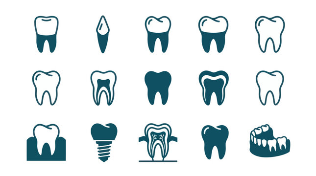 Minimal flat vector icon set featuring 12 tooth anatomy elements: incisor tooth, canine tooth, premolar tooth, molar tooth, wisdom tooth, tooth root, tooth crown, enamel layer, gum, dental implant