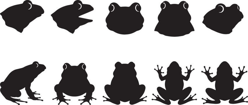 Frog Head and Body Silhouette Collection Vector Set