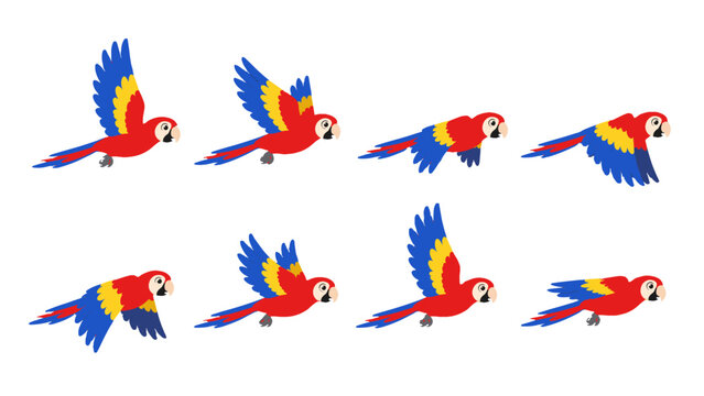 Colorful parrot flight animation frames on white background