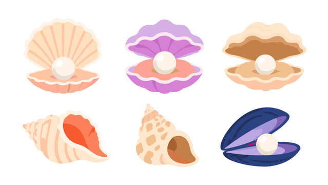 Set of seashells and pearl oysters in flat vector style