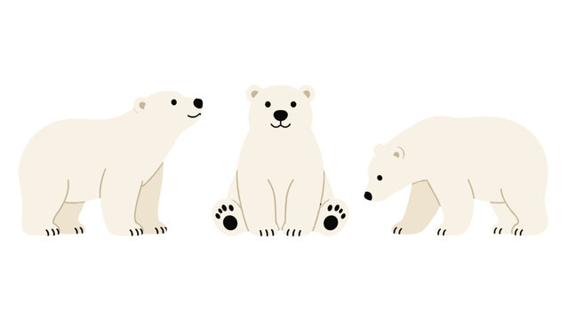 Cute polar bear cartoon set with three simple poses
