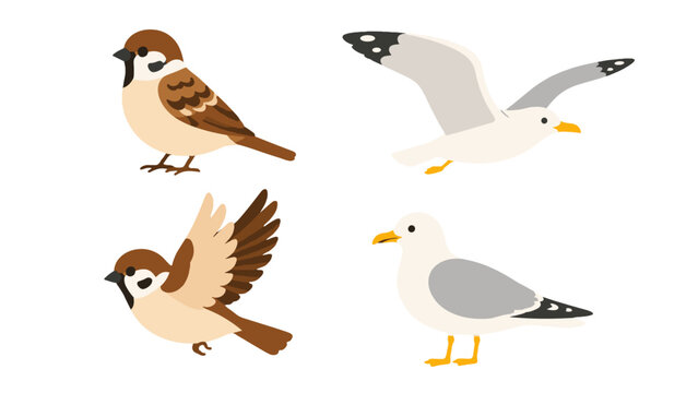 Flat vector set of sparrows and seagulls on white background