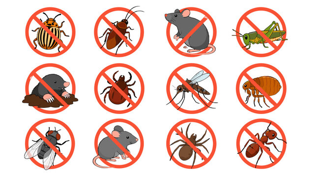 Pest control vector icons with insects and rodents set