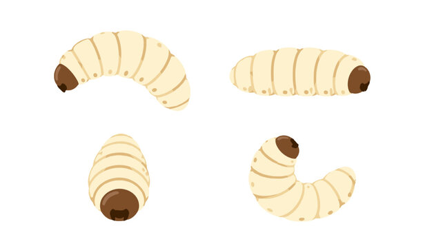 Cartoon larva insect set isolated on white background