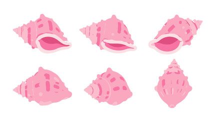 Fototapeta premium Pink conch shell set in soft watercolor vector style
