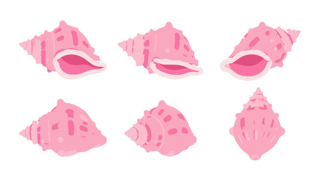 Pink conch shell set in soft watercolor vector style