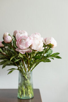 Vertical shot of lush pink peony bouquet with green leaves in ribbed glass vase on dark wooden table against neutral grey wall in natural light.