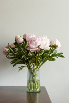 Vertical shot of lush pink peony bouquet with green leaves in ribbed glass vase on dark wooden table against neutral grey wall in natural light.