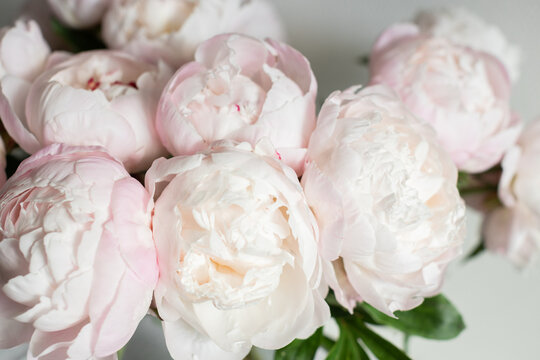 Vertical shot of lush pink peony bouquet with green leaves against neutral grey wall in natural light.