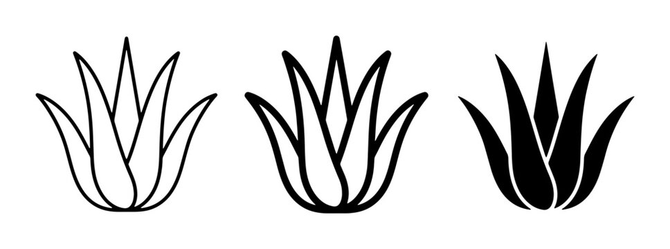 Agave Plant Icons, Succulent Vector Graphics, Desert Flora Silhouettes for Botanical Design