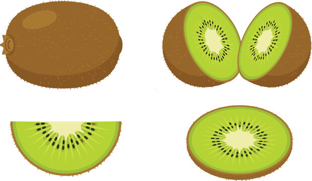 Fresh green kiwi fruit vector elements pack featuring whole brown fuzzy kiwi halved sections round slice and isolated juicy wedge piece