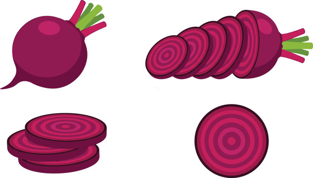 Fresh purple beetroot vegetable vector set featuring whole raw beet root with stems sliced pieces stack and isolated round spiral slice elements