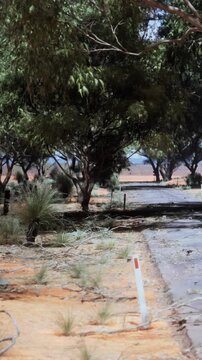 People walk along a dirt road surrounded by trees and grass. The area shows red soil and open space under a clear sky. Signs indicate this is a rural setting.