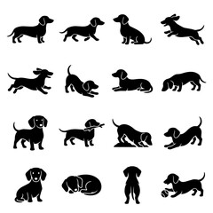 Fototapeta premium Dachshund dog silhouette collection various poses