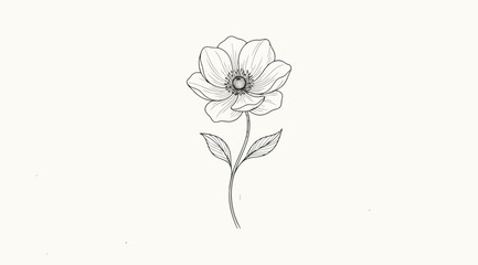 Obraz premium Single delicate handdrawn flower sketch