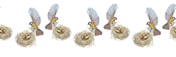 Watercolor seamless border with Easter nest with egg and titmouse on white background. Bird house made of twigs and branches. Spring or summer rim for celebration. Mother's day. Wallpaper wrapping © NatashaKun