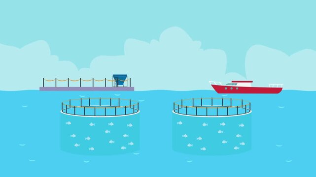 Modern Offshore Fish Farm Illustration with Circular Net Pens, Fishing Boat, and Automated Feeding System in Open Ocean cartoon animation